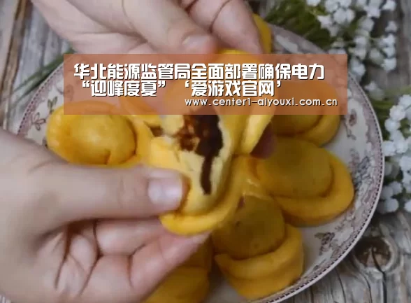 华北能源监管局全面部署确保电力“迎峰度夏”‘爱游戏官网’(图3) 爱游戏