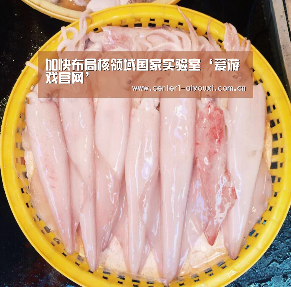 加快布局核领域国家实验室‘爱游戏官网’(图1) 爱游戏