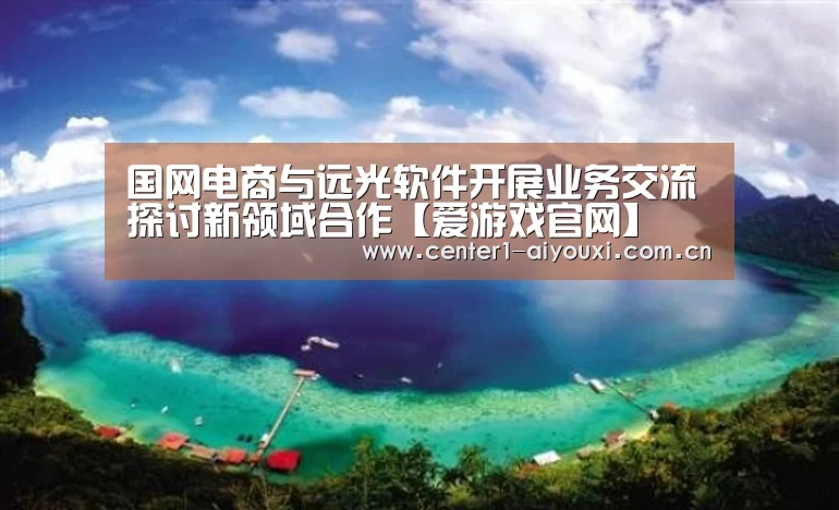 国网电商与远光软件开展业务交流探讨新领域合作【爱游戏官网】(图3) 爱游戏app
