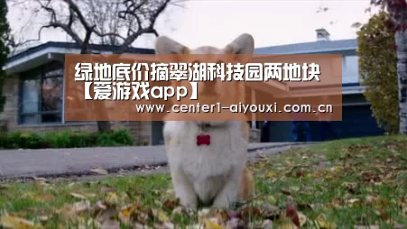 爱游戏官网